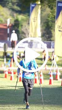 BIB:  <button type="button" onclick="openModal(26604291)" class="btn btn-primary btn-sm float-right" data-toggle="modal" data-target=".modal-high-quality">
                <i class="fa fa-download"></i> Download
                </button>